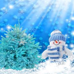 Cute Snowman Photography Scenery Backdrop Snow Theme Banner YMY-590