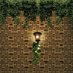 Light With The Wall Photography Scenery Backdrop Wall Theme Banner YMY-594