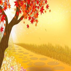 Maple Leaves Photography Scenery Backdrop Halloween Theme Banner YMY-603