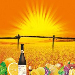 The Sun Shines Photography Scenery Backdrop Autumn Theme Banner YMY-605