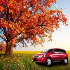 Leisure Area Photography Scenery Backdrop Autumn Theme Banner YMY-608