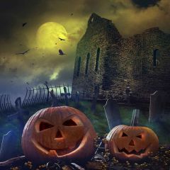 Terrible Night Photography Scenery Backdrop Halloween Theme Banner YMY-611
