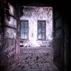 Dilapidated House Photography Scenery Backdrop Halloween Theme Banner YMY-612