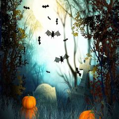 Flying Bats Photography Scenery Backdrop Halloween Theme Banner YMY-614