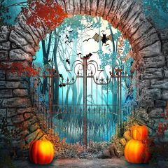 Iron Gate Photography Scenery Backdrop Halloween Theme Banner YMY-615