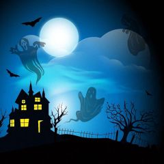 Scary Night Photography Scenery Backdrop Halloween Theme Banner YMY-617