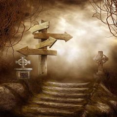 Escape The Road Photography Scenery Backdrop Halloween Theme Banner YMY-618