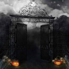 Spider Webs Photography Scenery Backdrop Halloween Theme Banner YMY-621