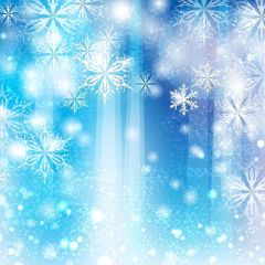 Nice Snowflake Photography Scenery Backdrop Christmas Theme Banner YMY-626