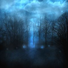 The Dark Tree Photography Scenery Backdrop Forest Theme Banner YMY-629