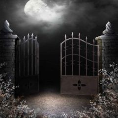 Unique Door Photography Scenery Backdrop Halloween Theme Banner YMY-633