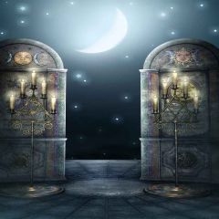 Attractive Moon Photography Scenery Backdrop Halloween Theme Banner YMY-634