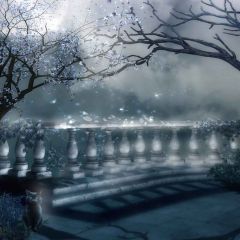 Falling Flowers Photography Scenery Backdrop Balcony Landscape Theme Banner YMY-635