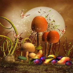 Lovely Mushroom Photography Scenery Backdrop Fantasy Theme Banner YMY-647