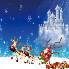 Santa Claus Photography Scenery Backdrop Christmas Theme Banner YMY-653