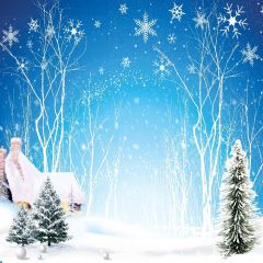 Pretty Snowflake Photography Scenery Backdrop Christmas Theme Banner YMY-654