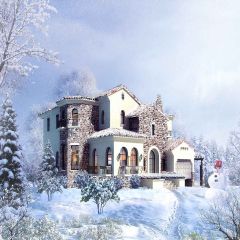 Romantic Snow Photography Scenery Backdrop Christmas Theme Banner YMY-659