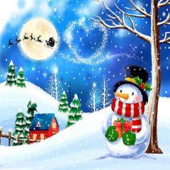 Pretty Snowman Photography Scenery Backdrop Christmas Theme Banner YMY-670