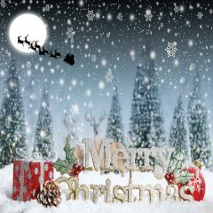 Snow Scene Photography Scenery Backdrop Christmas Theme Banner YMY-672