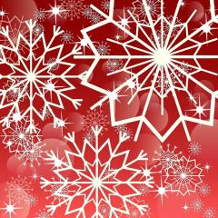 Memory Flower Photography Scenery Backdrop Christmas Theme Banner YMY-676