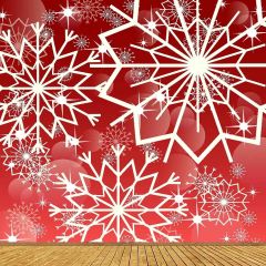 Impression  Flower Photography Scenery Backdrop Christmas Theme Banner YMY-677