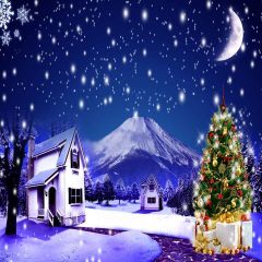Snowy Night Photography Scenery Backdrop Christmas Theme Banner YMY-681