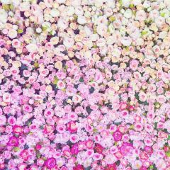 Wallpaper Flower Photography Scenery Backdrop Flowers Theme Banner YZA-887