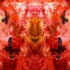 Red Butterfly Photography Scenery Backdrop Textures Theme Banner YZA-961