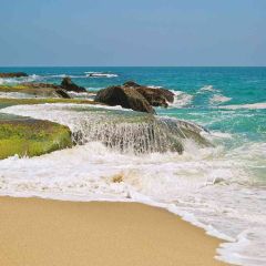 Coastal Scenic Photography Scenery Backdrop Ocean Theme Banner ZLZ-031