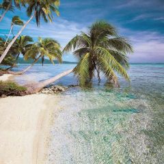 Vast Expanse Of Sea Photography Scenery Backdrop Ocean Theme Banner ZLZ-055