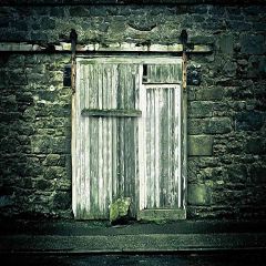 Shabby Door Photography Scenery Backdrop Door Theme Banner ZLZ-115