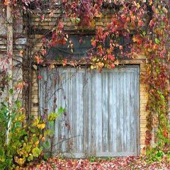 Plants Nestled Wooden Door Photography Scenery Backdrop Door Theme Banner ZLZ-118
