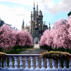 Distant Beautiful Castle Photography Scenery Backdrop Balcony Landscape Theme Banner ZLZ-125