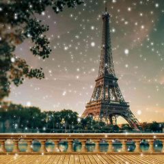 Magnificent Eiffel Tower Photography Scenery Backdrop Balcony Landscape Theme Banner ZLZ-142