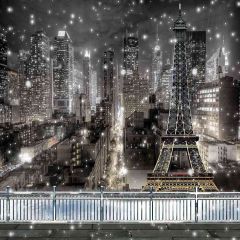 Tall Buildings Photography Scenery Backdrop Balcony Landscape Theme Banner ZLZ-143