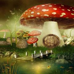 Enormous Mushroom Photography Scenery Backdrop Fantasy Theme Banner ZLZ-152