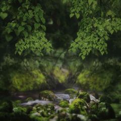 Green Leaves Photography Scenery Backdrop Forest Theme Banner ZLZ-162