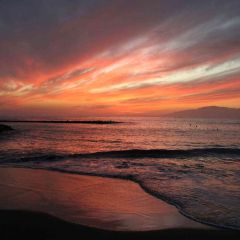 Sunset Beach Photography Scenery Backdrop Ocean Theme Banner ZLZ-163