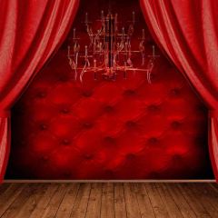 Red Stage Photography Scenery Backdrop Stage Carpet Theme Banner ZLZ-171