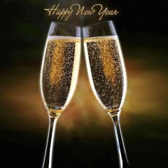 Cheers Photography Scenery Backdrop Festival Celebration Theme Banner ZLZ-175