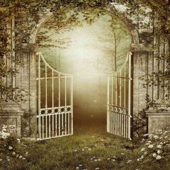 Foggy Garden Photography Scenery Backdrop Arches or Pillars Theme Banner AKA-091