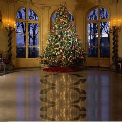 Beautiful Indoor Xmas Tree Photography Scenery Backdrop Christmas Theme Banner EHY-040
