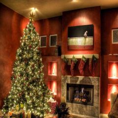 Interior Beautiful Xmas Tree Photography Scenery Backdrop Christmas Theme Banner EHY-058