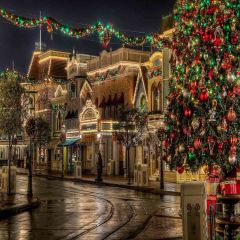 Outdoor Xmas Atmosphere Photography Scenery Backdrop Christmas Theme Banner EHY-087