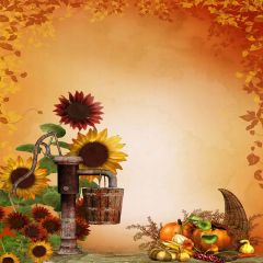 Beauty Flower Photography Scenery Backdrop Flowers Theme Banner EHY-109