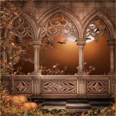 Diming Light Photography Scenery Backdrop Arches or Pillars Theme Banner EHY-137