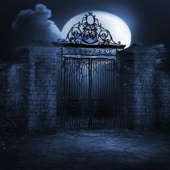 Potentially Dangerous Photography Scenery Backdrop Night Theme Banner EHY-143