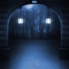 Alone Light Photography Scenery Backdrop Night Theme Banner EHY-146