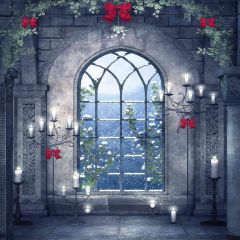 Candelabrum Photography Scenery Backdrop Arches or Pillars Theme Banner EHY-165