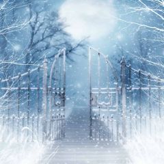 The Gate Of Hope Photography Scenery Backdrop Door Theme Banner EHY-166